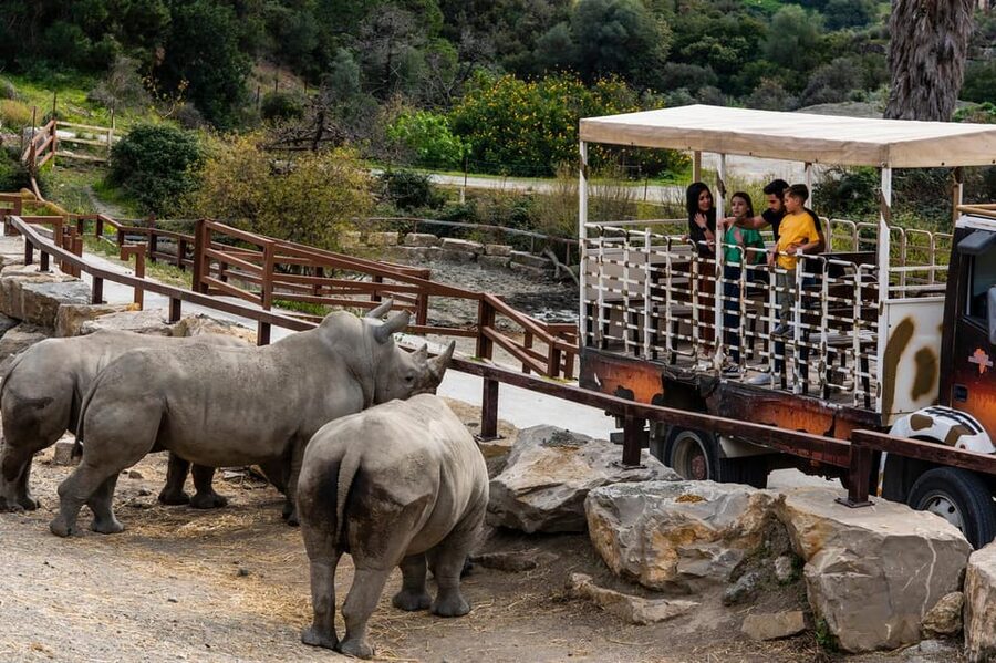 Selwo Aventura Admission Ticket with Skip-the-Line Access - A park that rewards a slow pace