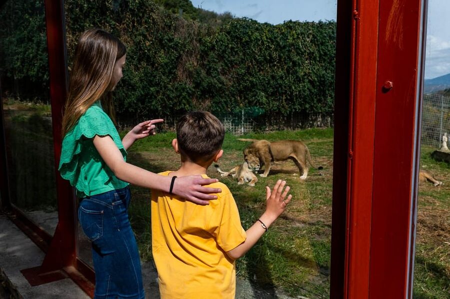 Selwo Aventura Admission Ticket with Skip-the-Line Access - Should you book this wildlife park?