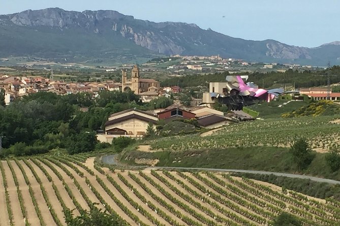 Semi-Private Rioja Tour of 3 Premium Wineries from Bilbao - Who should book this Rioja tour
