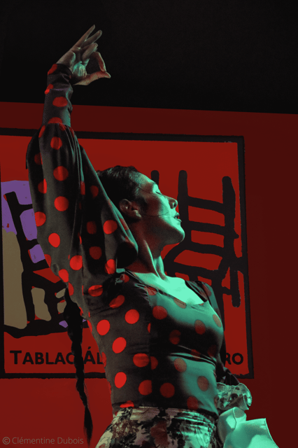 Sevilla: Flamenco Show at Tablao Álvarez Quintero - Key points to know before booking