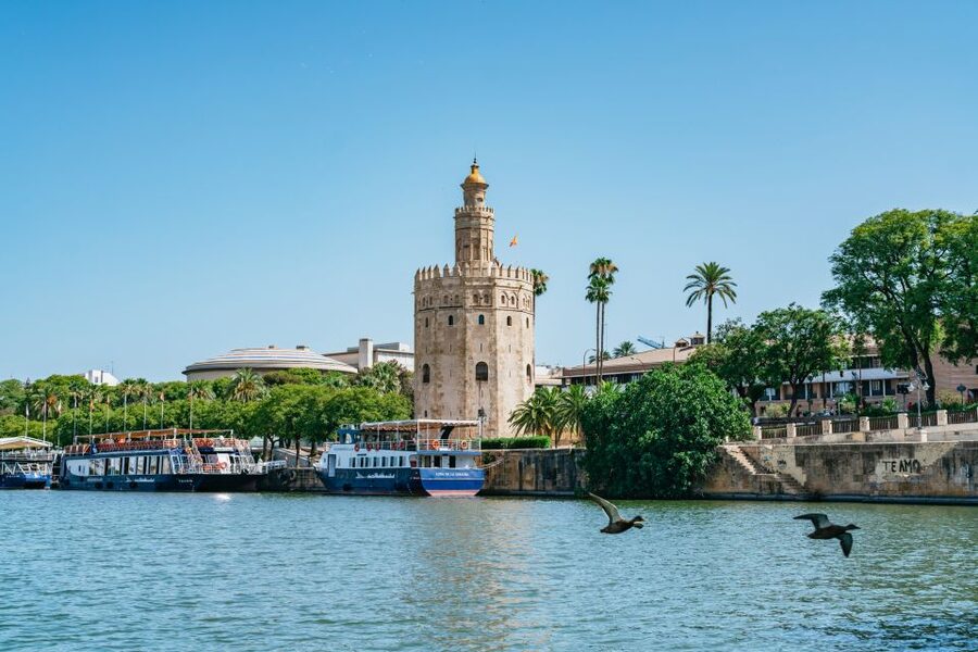 Seville: 1-Hour Guadalquivir River Sightseeing Eco Cruise - Who will enjoy this Seville river cruise?
