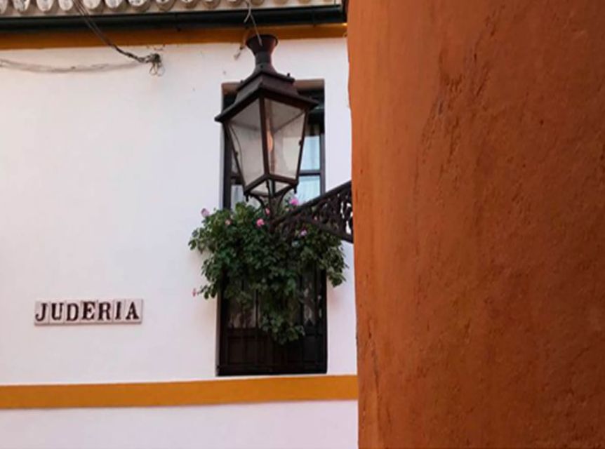Seville: 1-Hour Walking Tour Barrio de Santa Cruz - Key points to know