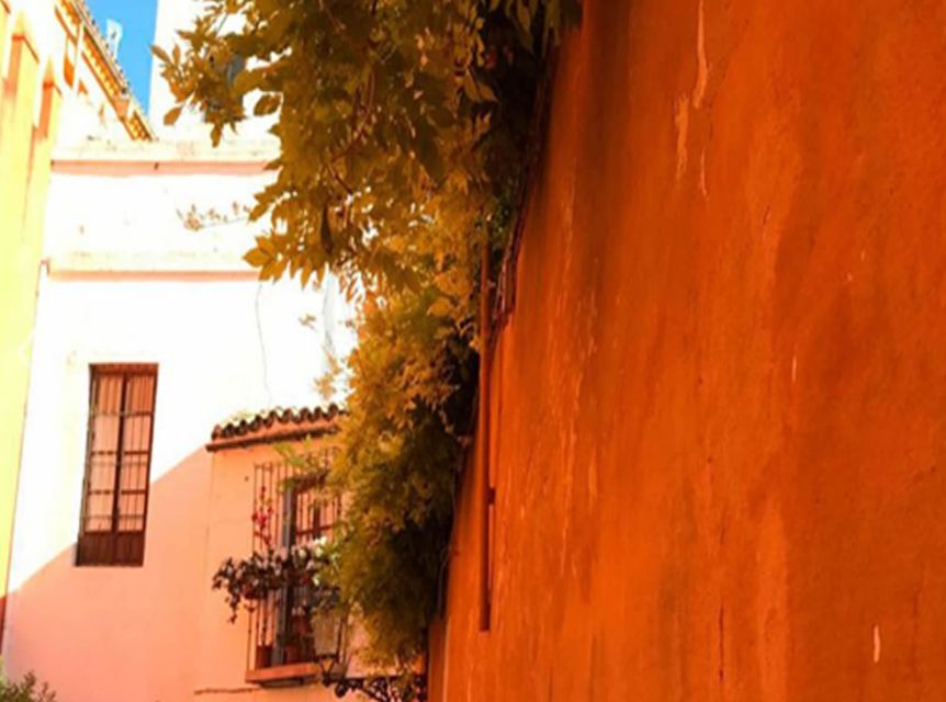 Seville: 1-Hour Walking Tour Barrio de Santa Cruz - Shoes, water, and weather in Seville