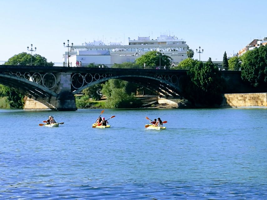Seville: 2–Hour Guadalquivir River Kayaking Tour - Is $46 a good value?