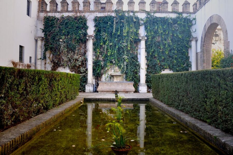 Seville: Alcazar & Cathedral Skip-the-Line Guided Tour - What the guide adds to the experience