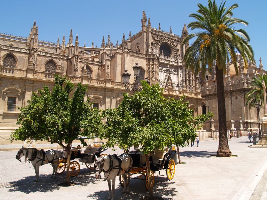 Seville: Alcázar Guided Palace Tour with Priority Access - Spotting the Game of Thrones filming locations