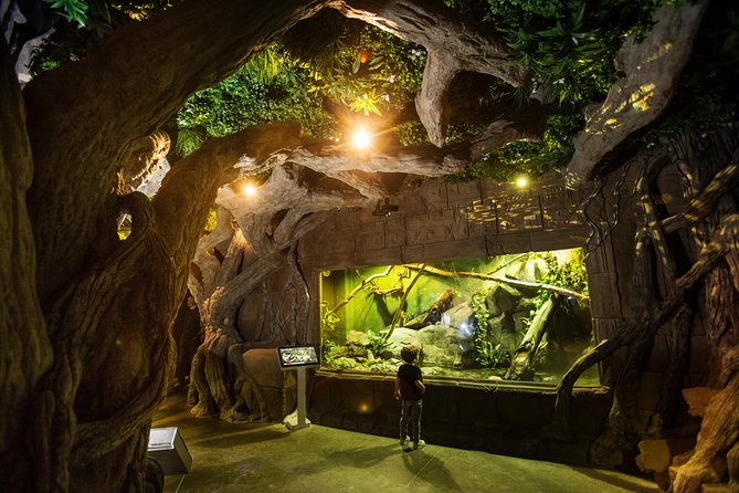 Seville Aquarium Admission Ticket - Pacific and Indo-Pacific tanks bring the widest variety