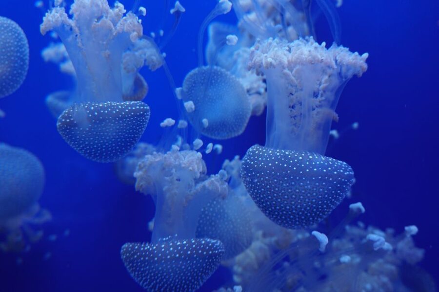Seville Aquarium Admission Ticket - Getting there by bus, Metro, bike, or car