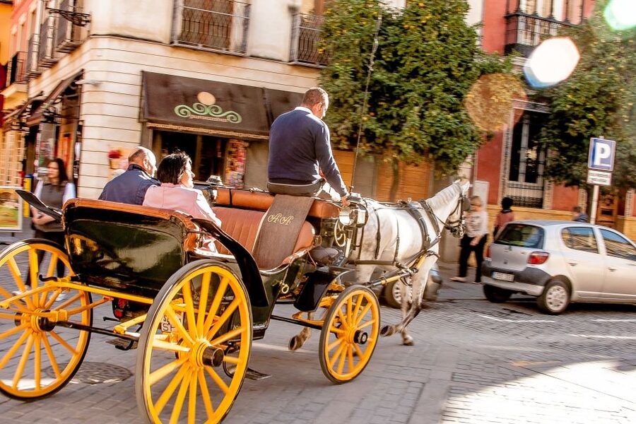 Seville: Authentic and Romantic Horse-Drawn Carriage Ride - Key points to know before booking