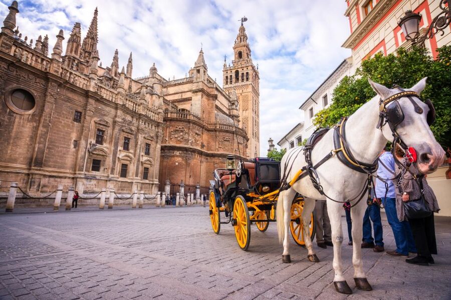 Seville: Authentic and Romantic Horse-Drawn Carriage Ride - Who should book this carriage ride?