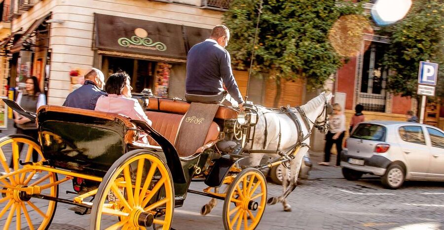 Seville: Authentic and Romantic Horse-Drawn Carriage Ride - Along the Guadalquivir riverside