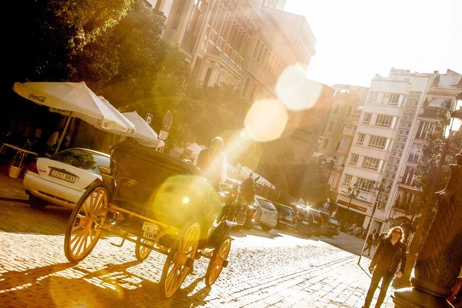 Seville: Authentic and Romantic Horse-Drawn Carriage Ride - Through Maria Luisa Park and toward Plaza de España