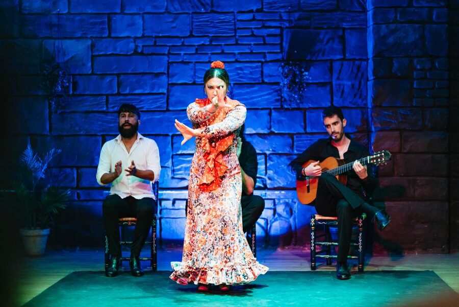 Seville: Baraka Sala Flamenca Show with Drink in Triana - What makes this show worth considering