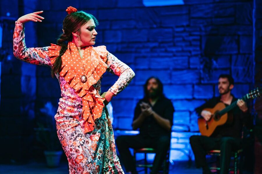 Seville: Baraka Sala Flamenca Show with Drink in Triana - What the show does not provide