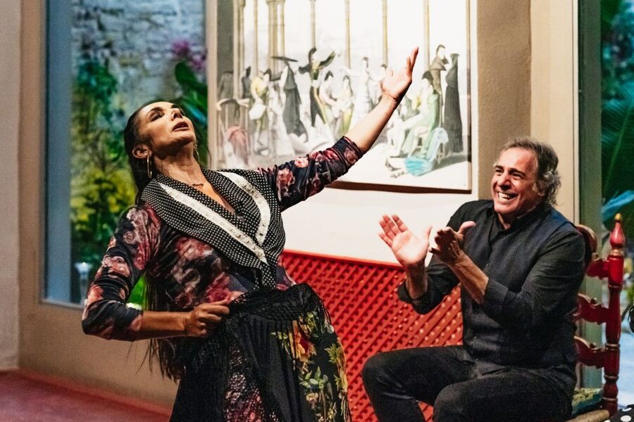 Seville: Casa de la Memoria Flamenco Show - What happens during the flamenco show