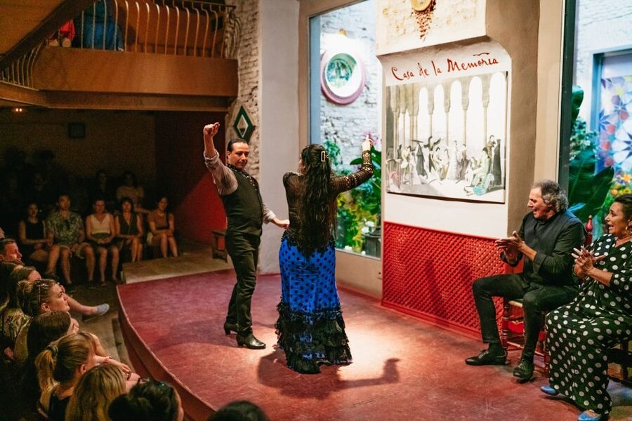 Seville: Casa de la Memoria Flamenco Show - Who will enjoy this experience most