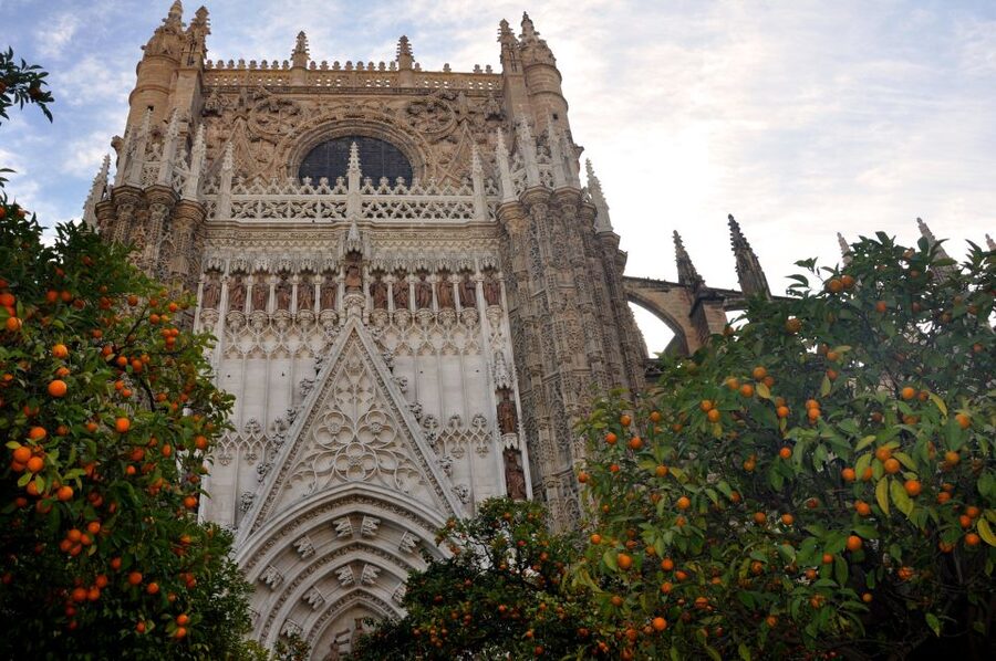 Seville Cathedral and Giralda Tower Guided Tour and Tickets - Cancellation and booking details
