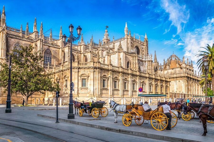 Seville: Cathedral and La Giralda Entry Ticket - Tickets, queues, and the $20 value