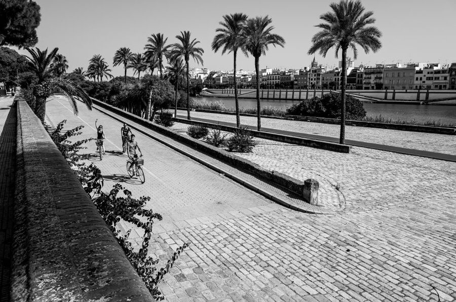 Seville: City Sightseeing and Local Culture Bike Tour - Alcázar, Cathedral, and Seville’s famous core