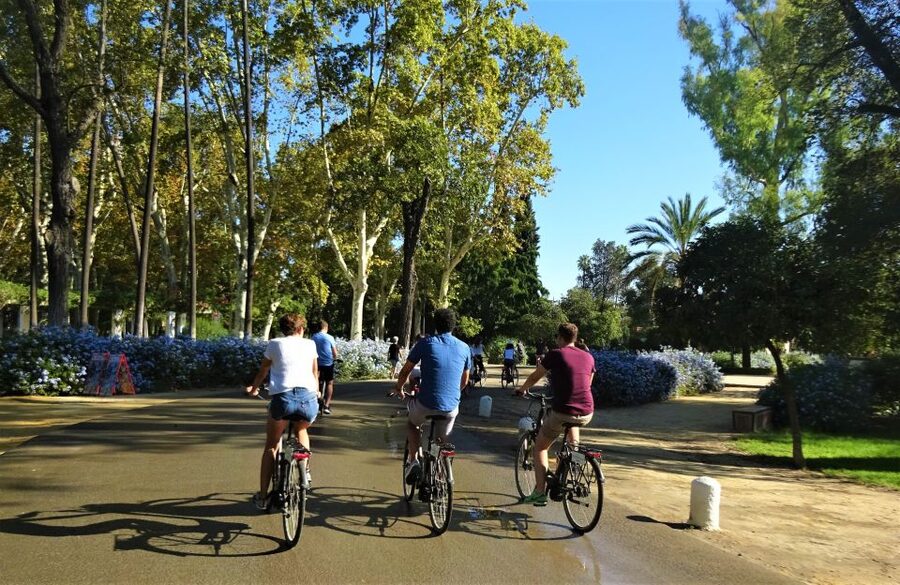 Seville: Electric Bike Tour in Small Group - Who will enjoy this ride most?