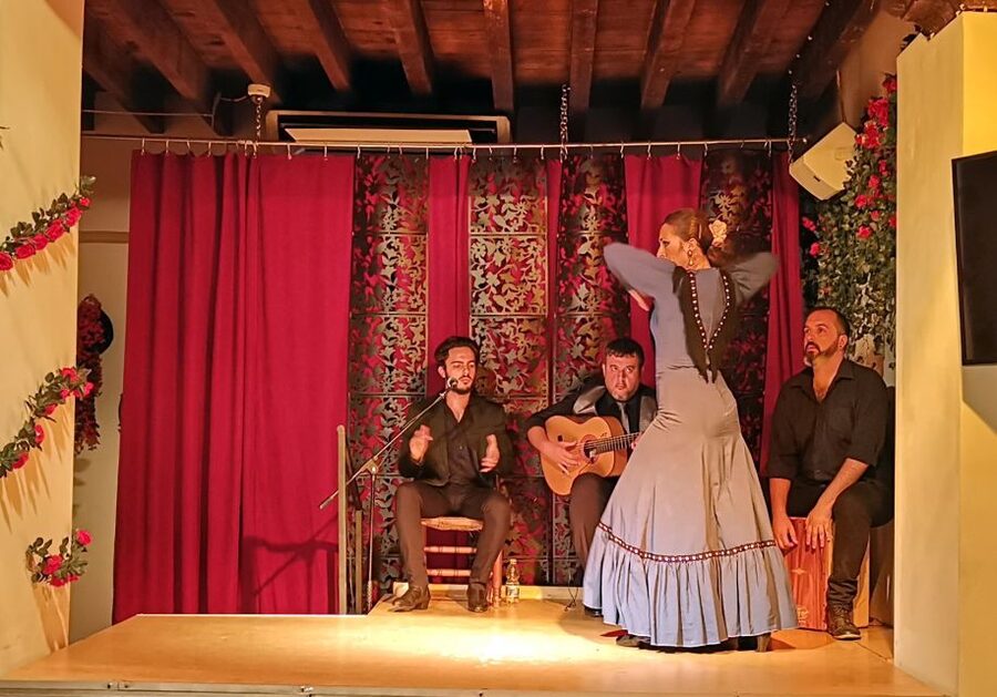 Seville: Flamenco Show at Tablao Flamenco Andalusí - The audio and video introduction before the music