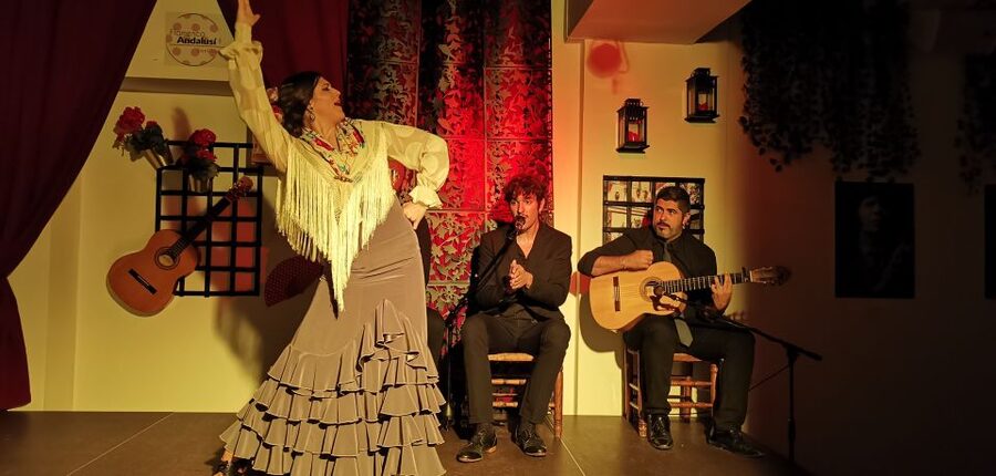 Seville: Flamenco Show at Tablao Flamenco Andalusí - What the photocall adds after the performance