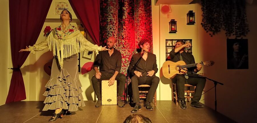 Seville: Flamenco Show at Tablao Flamenco Andalusí - Who will enjoy this flamenco show most