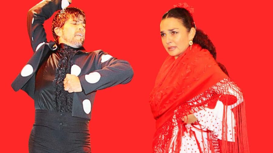Seville: Flamenco Show at Tablao La Cantaora - Key points at a glance