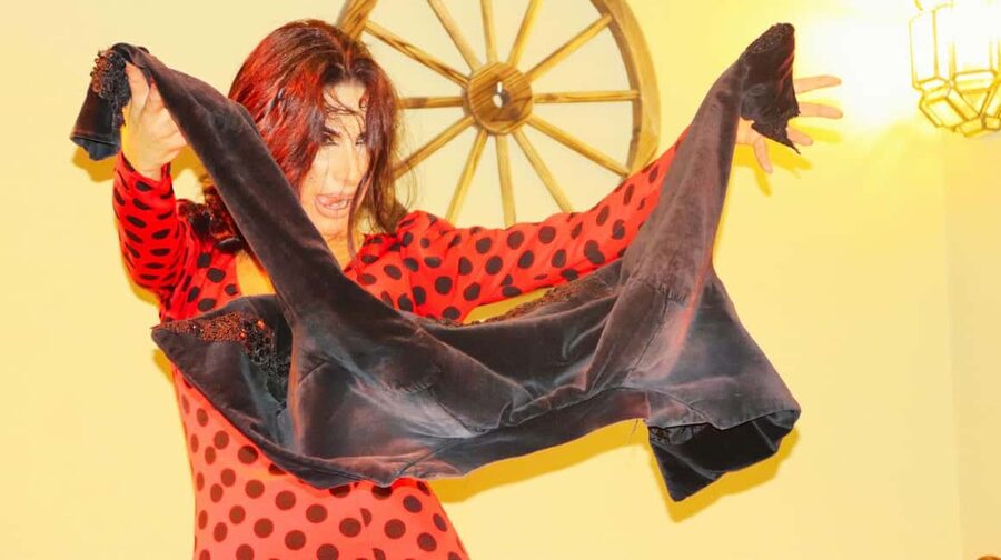 Seville: Flamenco Show at Tablao La Cantaora - Practical planning for your Seville evening
