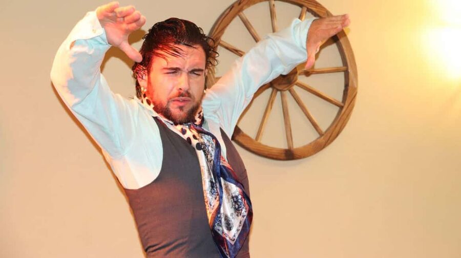 Seville: Flamenco Show at Tablao La Cantaora - What the strongest praise tells you