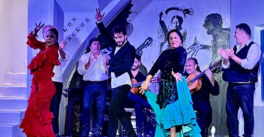 Seville: Flamenco Show at Tablao Los Gallos - The eight artists on stage