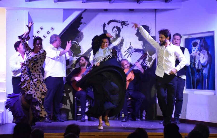 Seville: Flamenco Show at Tablao Los Gallos - What is missing from the experience