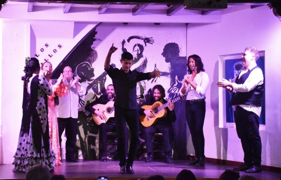 Seville: Flamenco Show at Tablao Los Gallos - Practical advice before you go