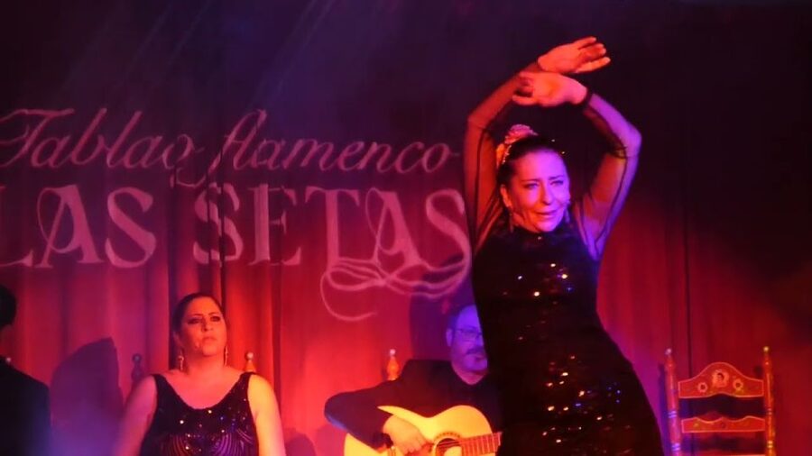Seville: Flamenco Show & Roof Dinner with Cathedral Views - Key points to know before booking