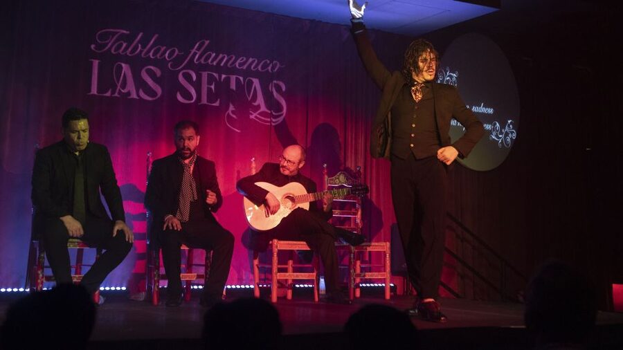 Seville: Flamenco Show & Roof Dinner with Cathedral Views - What the 7:45 p.m. Tablao show feels like