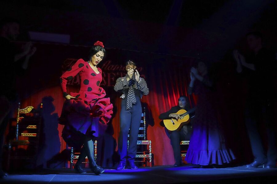 Seville: Flamenco Show Ticket at Tablao Flamenco Las Setas - Who will enjoy this flamenco show most?