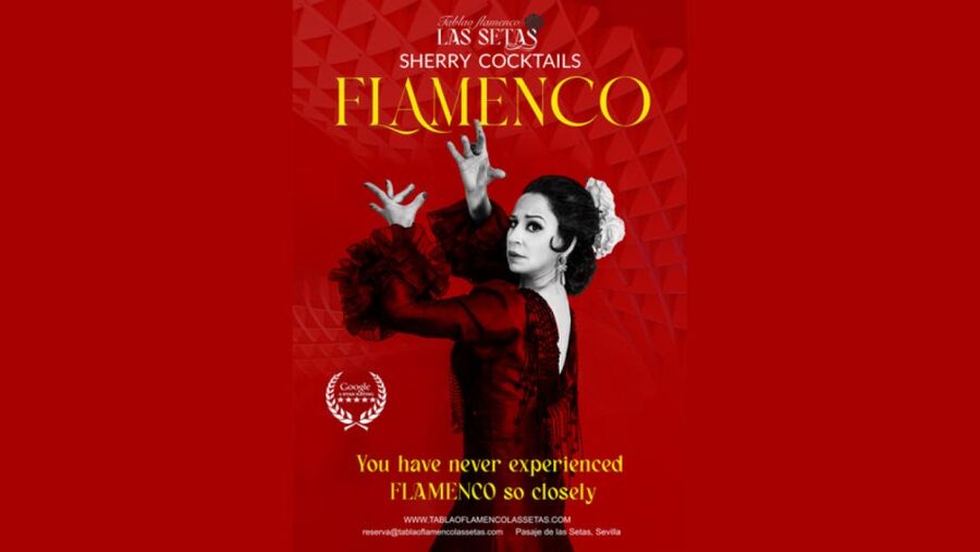 Seville: Flamenco Show Ticket at Tablao Flamenco Las Setas - The dancers, singers, and guitarists