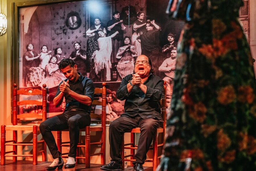 Seville: Flamenco Show with Andalusian Dinner at La Cantaora - Who will enjoy La Cantaora most