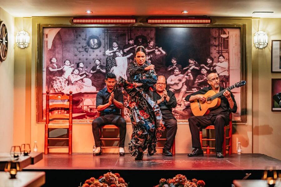 Seville: Flamenco Show with Andalusian Dinner at La Cantaora - What the one-hour performance includes