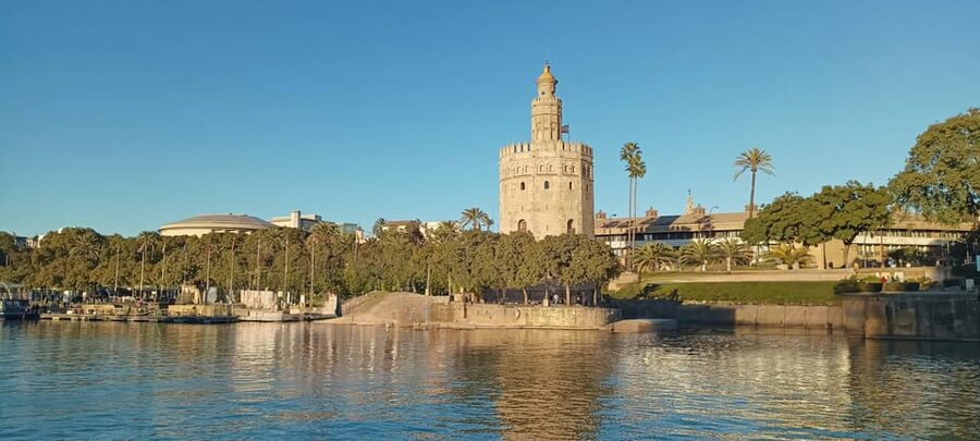 Seville: Guadalquivir Boat Tour with Optional Lunch/Dinner - Comfort, access, and practical limits