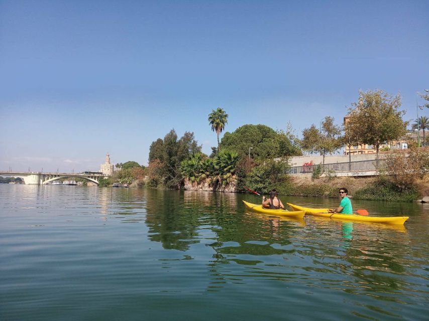 Seville: Guadalquivir River Kayaking Trip - The best times to go