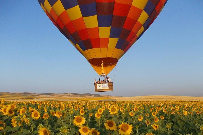 Seville Hot-Air Balloon Ride with Breakfast, Cava & Hotel Pick up - A sunrise departure from Seville
