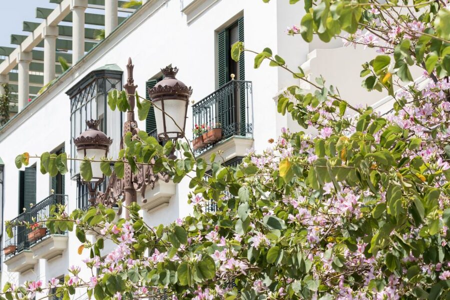 Seville Jewish Quarter walking tour: Santa Cruz District - Hospital de los Venerables and the Golden Age of Seville