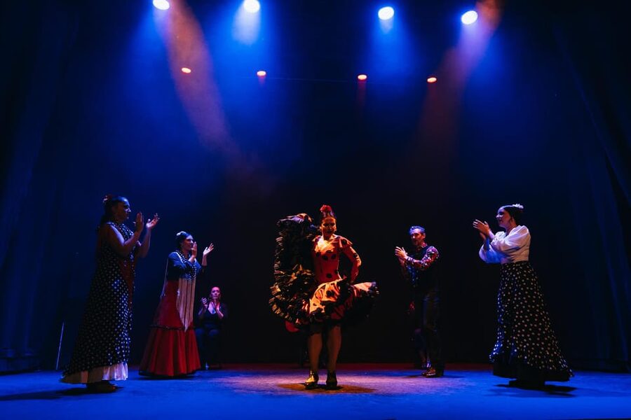 Seville: Live Flamenco Dancing Show Ticket at the Theater - Who should book this performance?