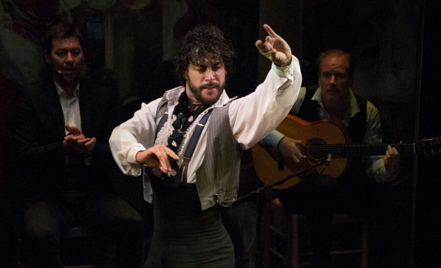 Seville: Live Flamenco Show at "Teatro Flamenco Triana" - Key points to know before you book