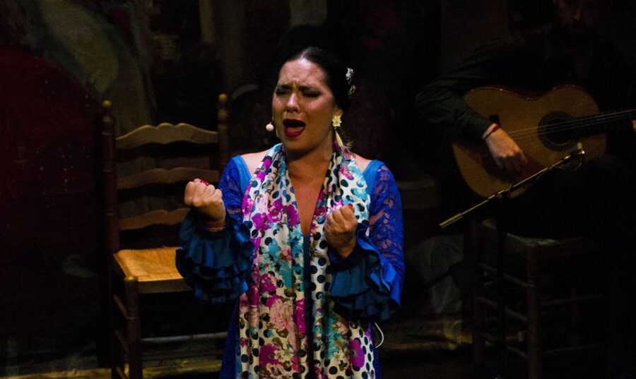 Seville: Live Flamenco Show at "Teatro Flamenco Triana" - The value of a $28 ticket