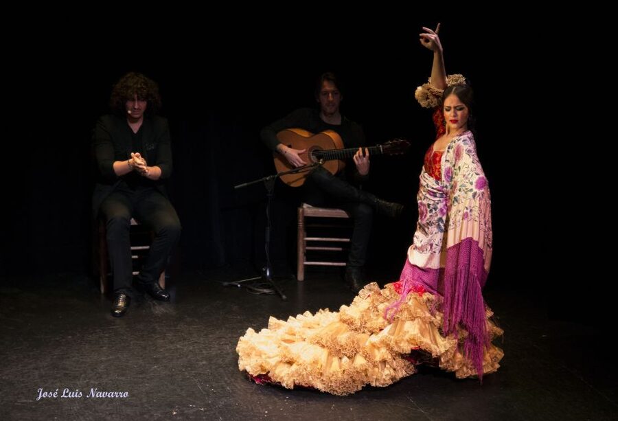 Seville: Live Flamenco Show at "Teatro Flamenco Triana" - How to watch flamenco well