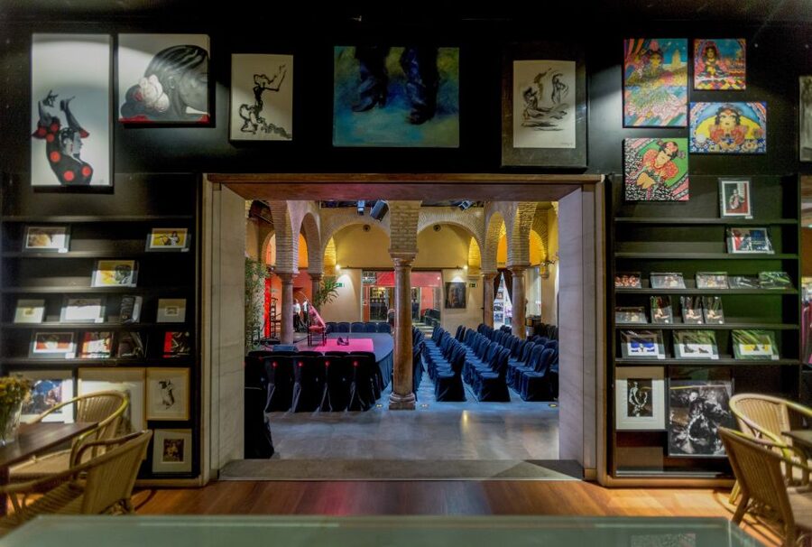 Seville: Museum of Flamenco Dance Admission Ticket - Who will get the most from this visit?