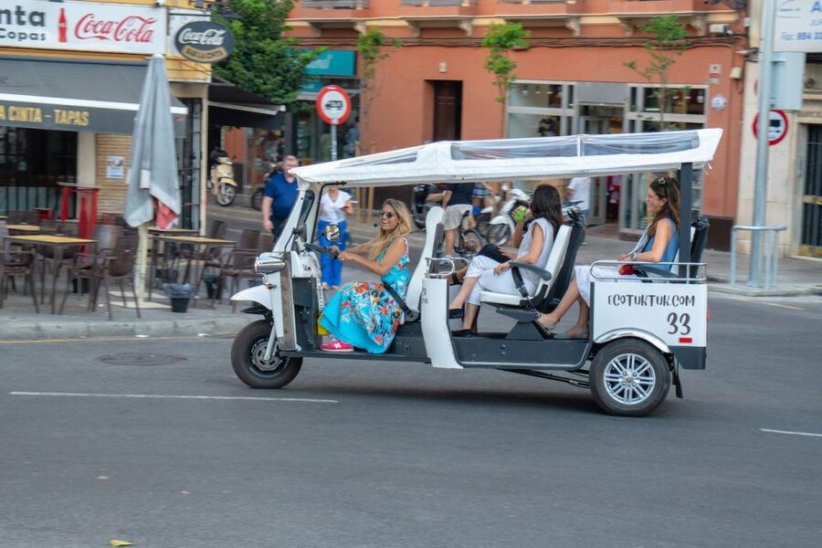 Seville: Private City Tour by Eco Tuk Tuk - San Telmo Palace and the old Tobacco Factory