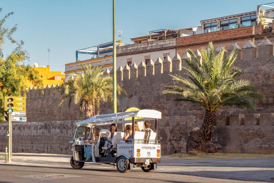 Seville: Private City Tour by Eco Tuk Tuk - Torre del Oro and the Maestranza bullring
